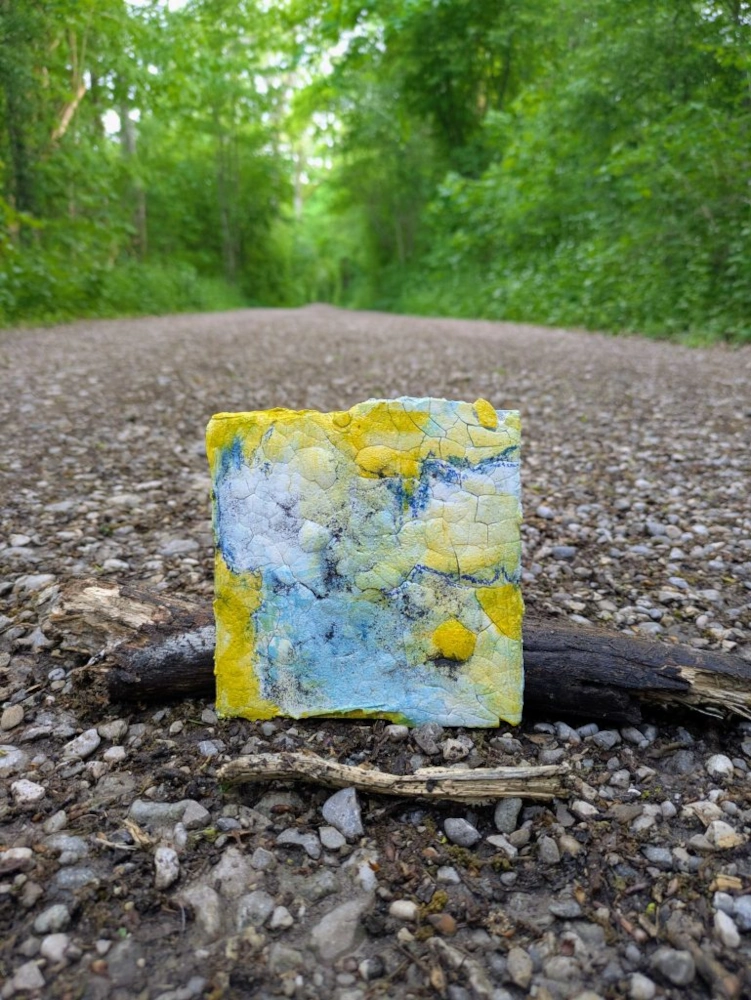 Fundstück der Serie „Gefundene Natur“ (2026) auf einem Waldweg. Kleines abstraktes Originalbild in natürlicher Umgebung, platziert auf einem Weg, der in die Ferne führt.